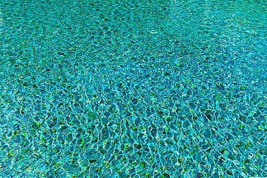 管他呢！《诈欺娇娃》发售啦 8.31登录Xbox和PC